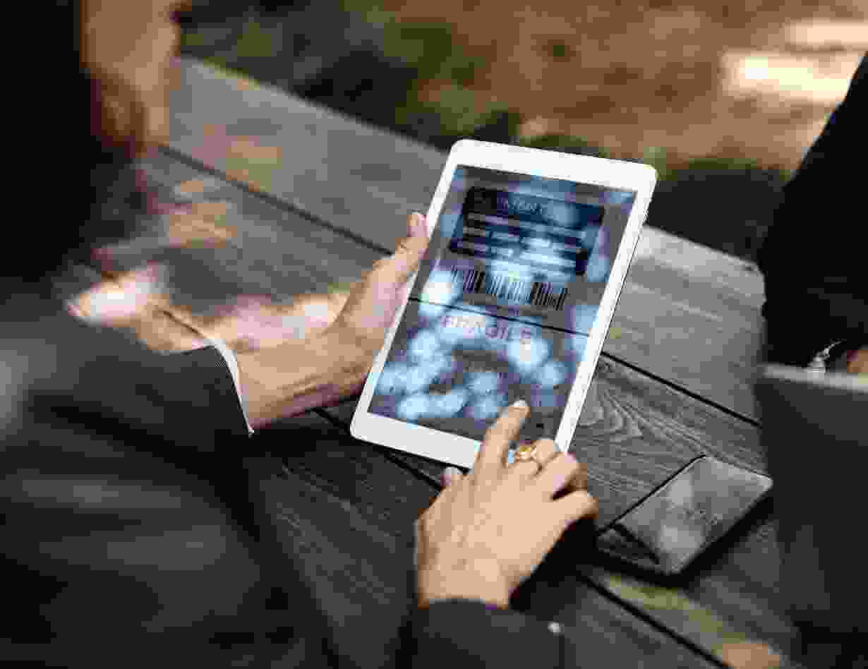 Donec in maximus augue